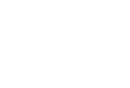 FS Vision