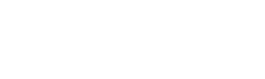 Twisto