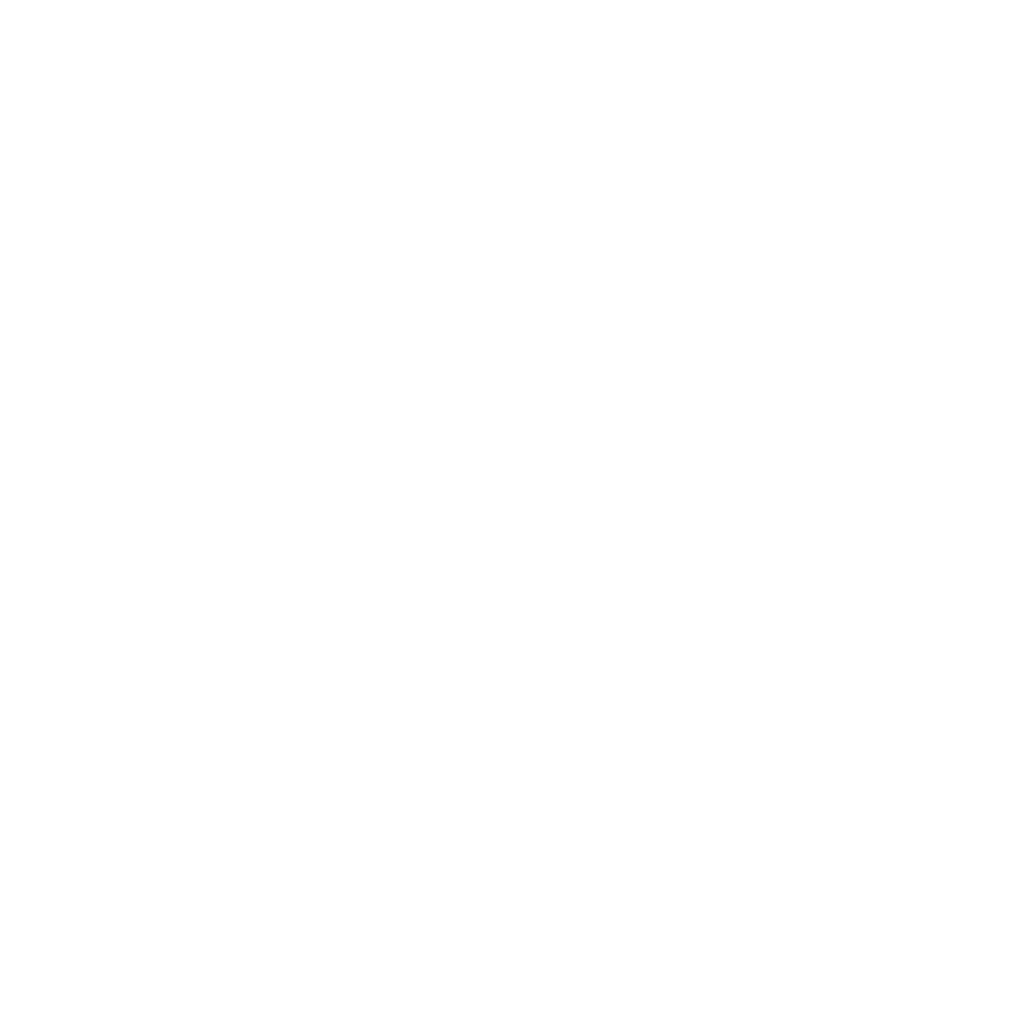 NET4GAS