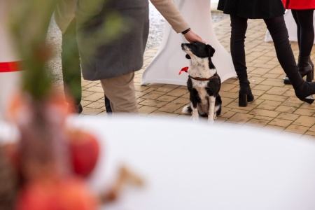 MI-Roads-micro-event-od-SUNDISK-10