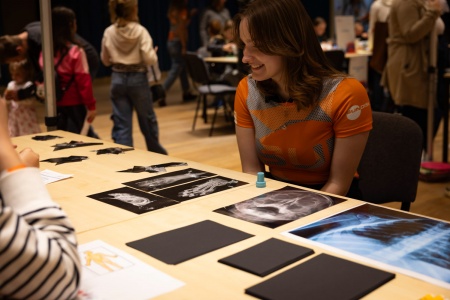 SUNDISK-eventova-produkcni-agentura